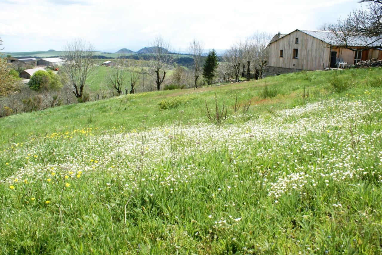 Gites La Boletiere Saint-Étienne-du-Valdonnez المظهر الخارجي الصورة